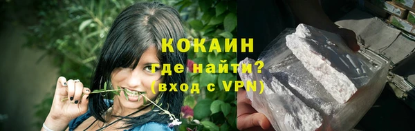 apvp Иннополис