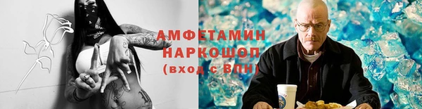 apvp Иннополис