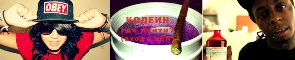 прущие крисы Инта