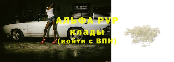 индика Каменногорск