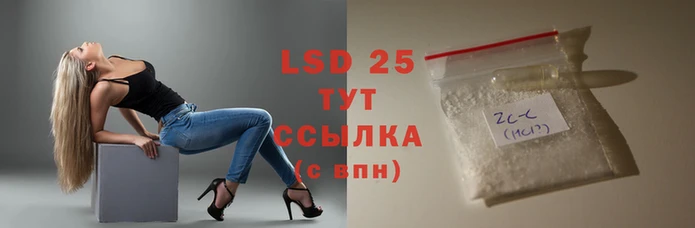 прущие крисы Инта