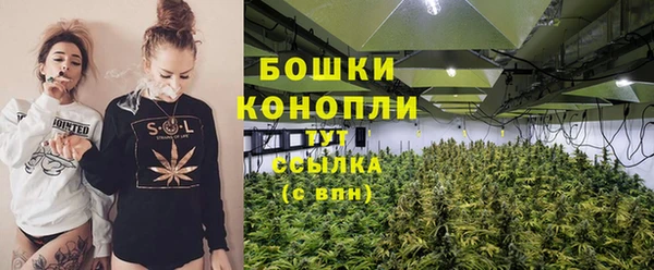 ALPHA PVP Инсар