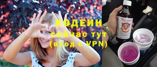 прущие крисы Инта