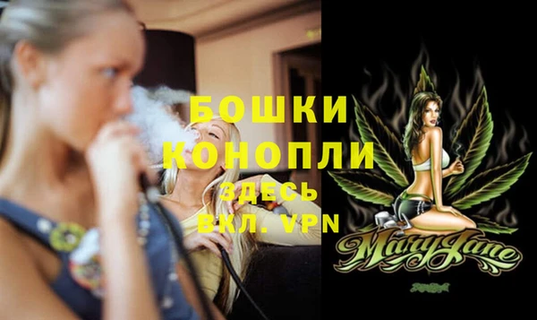apvp Иннополис