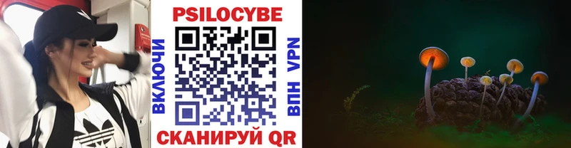 Купить закладки  Протвино  Псилоцибиновые грибы Psilocybe 